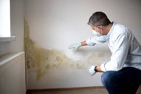 Inglenook, CT Mold Remediation Company